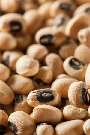 Organic Dry Black Eyed Peas in a Bowl