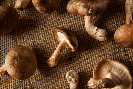 Raw Organic Shitaki Mushrooms on a Background