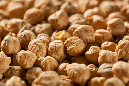 Raw Organic Garbanzo Beans in a Spoonの写真素材