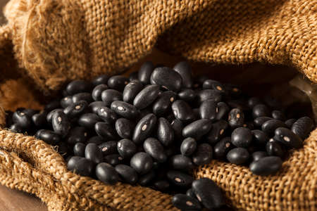 Organic Raw Dry Black Beans in a Spoonの写真素材