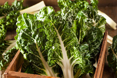 Fresh Organic Green Chard Ready to Eat