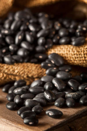 Organic Raw Dry Black Beans in a Spoonの写真素材