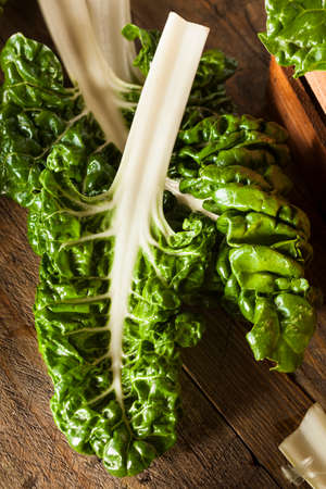 Fresh Organic Green Chard Ready to Eatの写真素材