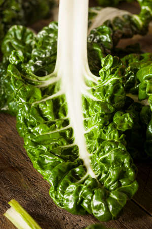 Fresh Organic Green Chard Ready to Eatの写真素材