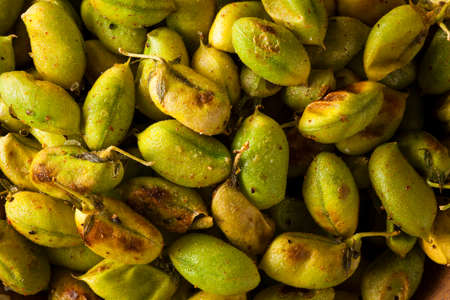 Organic Roasted Fresh Garbanzo Beans in a Bowlの写真素材
