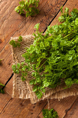 Raw Organic French Parsley Chervil on a Background