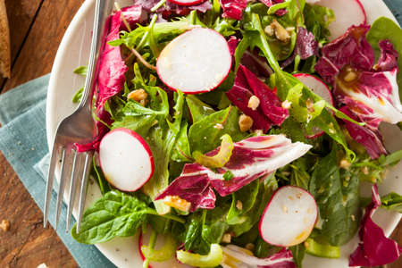 Healthy Homemade Herb Salad with Greens and Veggiesの写真素材