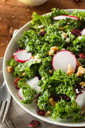 Healthy Raw Kale and Cranberry Salad with Cheese and Nutsの写真素材