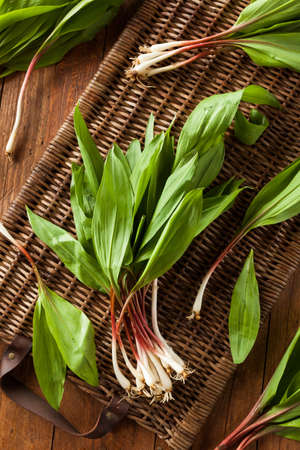 Raw Organic Green Ramps Ready to Cook With