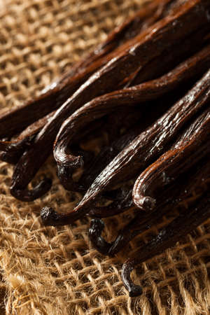 Raw Organic Vanilla Beans Ready to Cutの写真素材