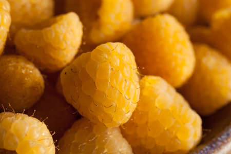Raw Organic Yellow Raspberries in a Bowlの写真素材