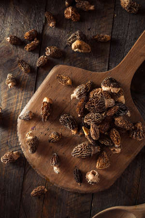 Raw Organic Morel Mushrooms Ready to Cookの写真素材