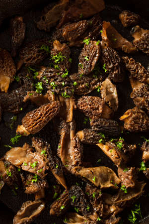 Organic Sauteed Morel Mushrooms REady to Eatの写真素材
