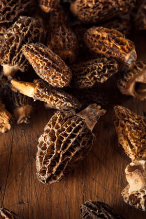 Raw Organic Morel Mushrooms Ready to Cookの写真素材