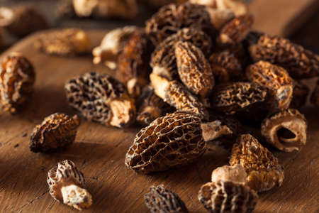 Raw Organic Morel Mushrooms Ready to Cookの写真素材