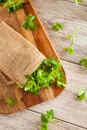 Organic Italian Flat Leaf Parsley Ready to Eatの写真素材