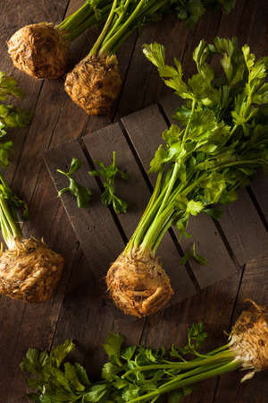 Raw Organic Celery Root Ready to Cutの写真素材