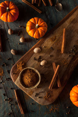 Organic Raw Pumpkin Spice with Cinnamon Allspice Nutmeg and Gingerの写真素材
