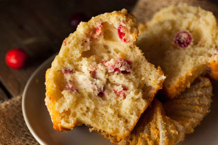 Fresh Baked Cranberry Muffins Ready to Eat