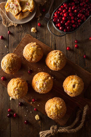 Fresh Baked Cranberry Muffins Ready to Eatの写真素材