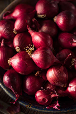 Organic Red Pearl Onions in a Bowlの写真素材