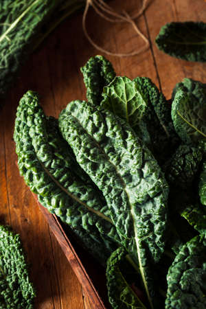 Organic Green Lacinato Kale Ready to Eatの写真素材