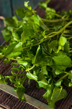 Raw Organic Green Watercress Ready to Use
