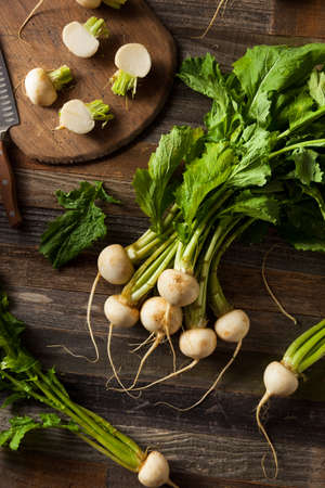 Raw Organic White Radishes with Green Stemsの写真素材