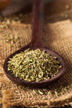 raw organic fennel Seed Ready to Useの写真素材