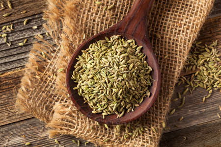 raw organic fennel Seed Ready to Useの写真素材