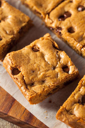 Homemade Chocolate Chip Blondies Cut Into Squaresの写真素材