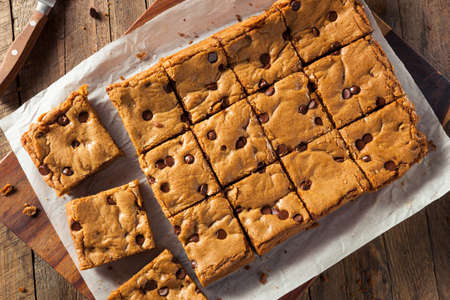 Homemade Chocolate Chip Blondies Cut Into Squaresの写真素材