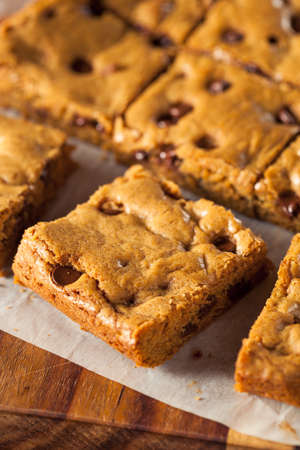 Homemade Chocolate Chip Blondies Cut Into Squaresの写真素材