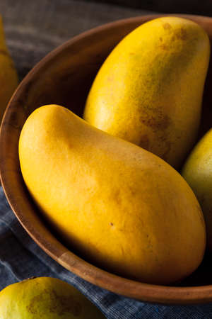 Raw Organic Yellow Mangos Ready to Eatの写真素材