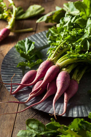 Raw Organic Purple Radishes Ready to Eatの写真素材