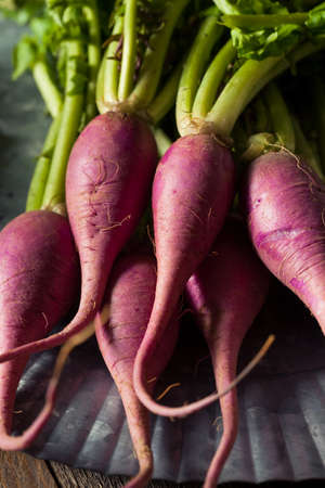 Raw Organic Purple Radishes Ready to Eatの写真素材