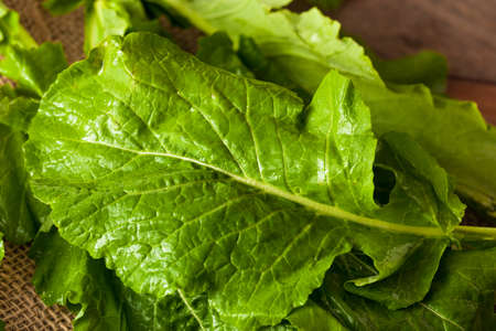 Raw Organic Turnip Greens Ready to Eat