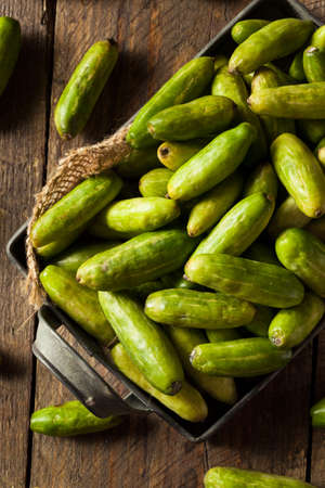 Raw Green Organic Tindora in a Basketの写真素材