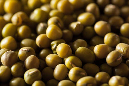 Raw Organic Green Mung Beans in a Bowlの写真素材