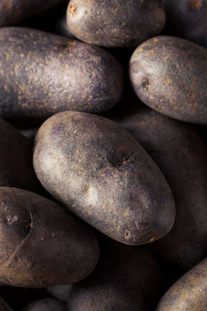 Raw Organic Purple Potatoes in a Basketの写真素材