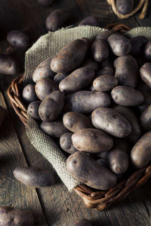Raw Organic Purple Potatoes in a Basketの写真素材