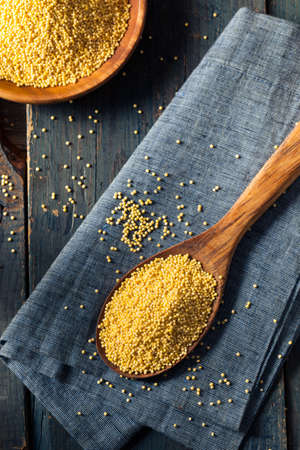 Raw Organic Healthy Millet in a Spoon