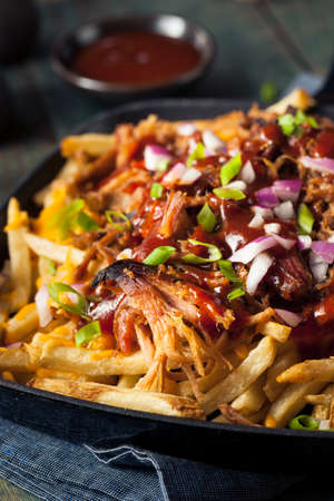 Homemade BBQ Pulled Pork French Fries with Sauce