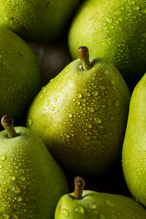 Raw Green Organic Danjou Pears Ready to Eatの写真素材