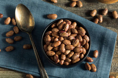 Healthy Raw Organic Cranberry Beans Ready to Cook