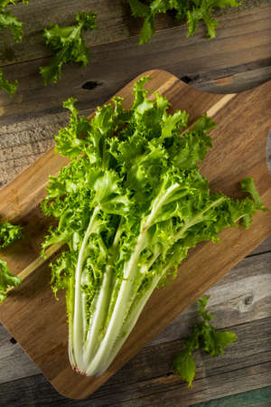 Raw Green Organic Endive Ready to Eatの写真素材