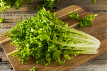 Raw Green Organic Endive Ready to Eatの写真素材