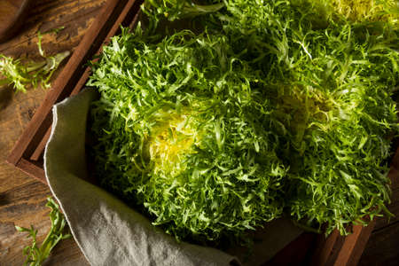 Raw Green Organic Frisee Lettuce Ready to Eatの写真素材