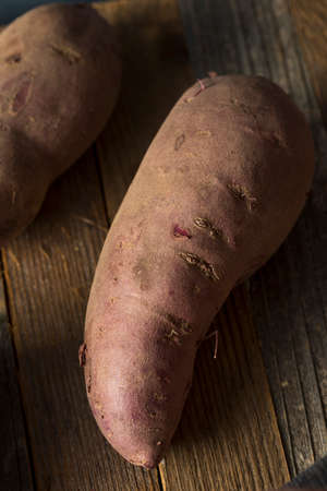 Raw Organic Purple Sweet Potatoes Ready to Eatの写真素材