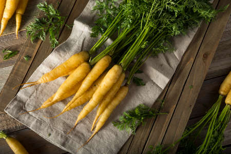Raw Organic Yellow Baby Carrots Ready to Eatの写真素材